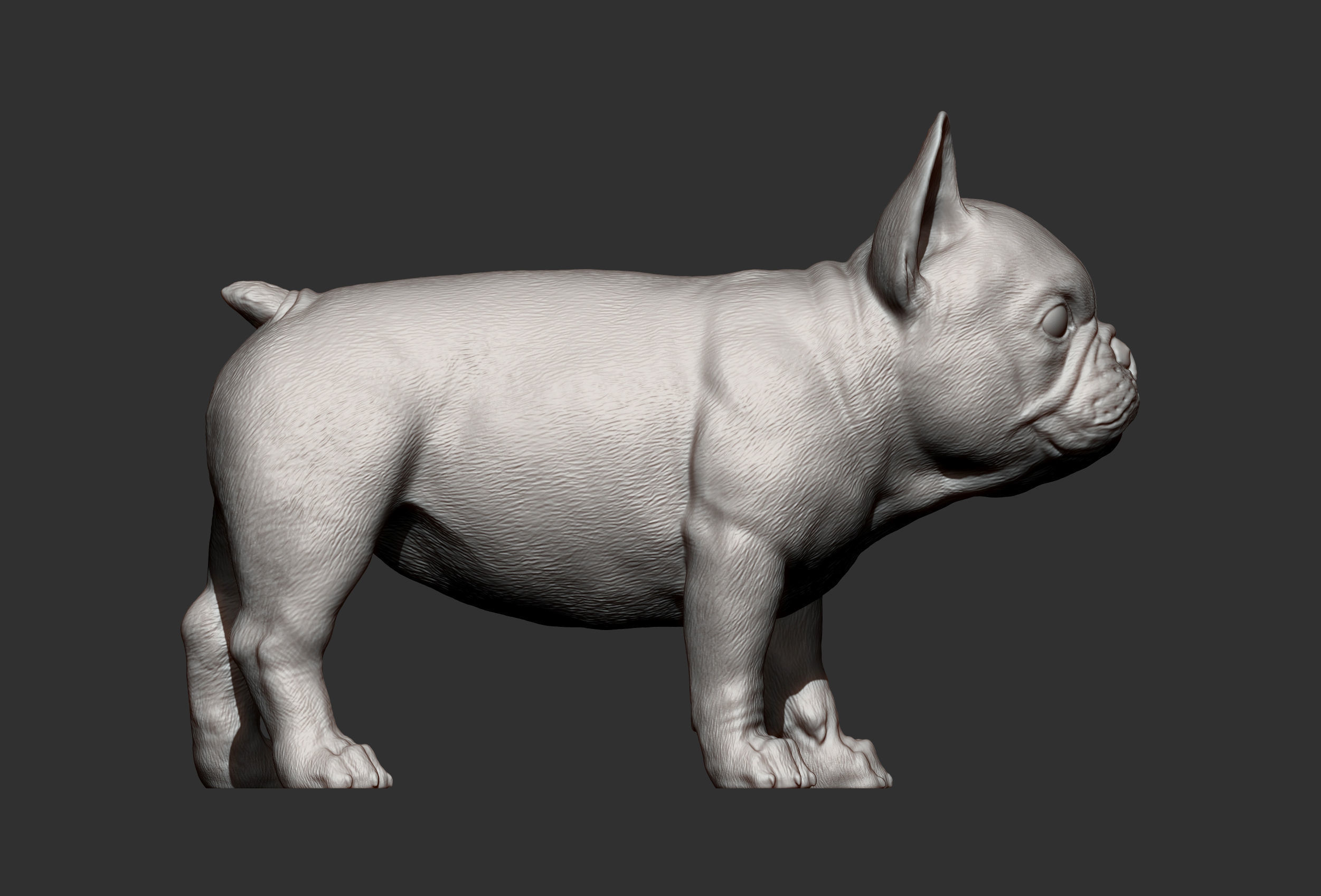 french bulldog puppy 3D print model_8