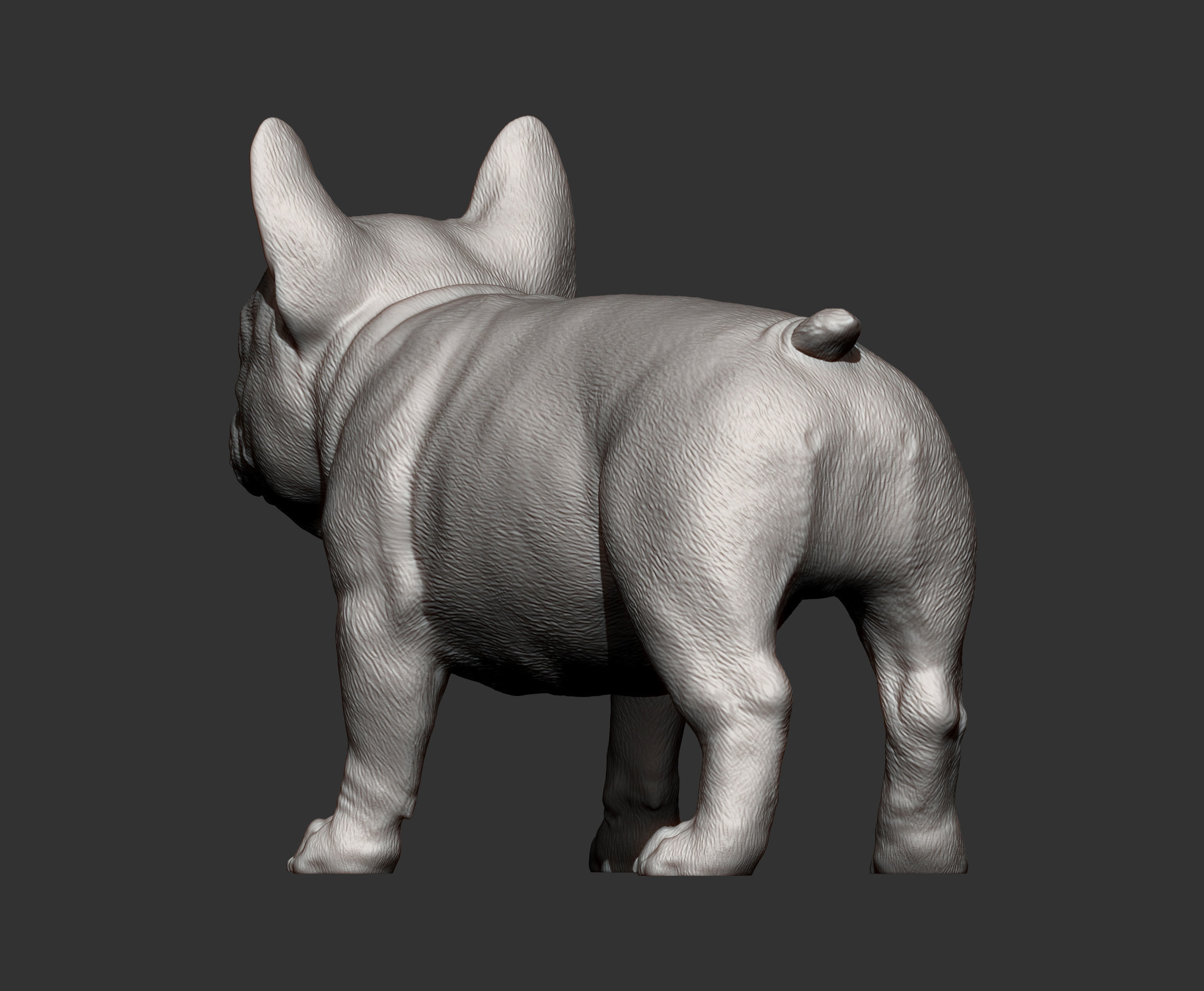 french bulldog puppy 3D print model_13