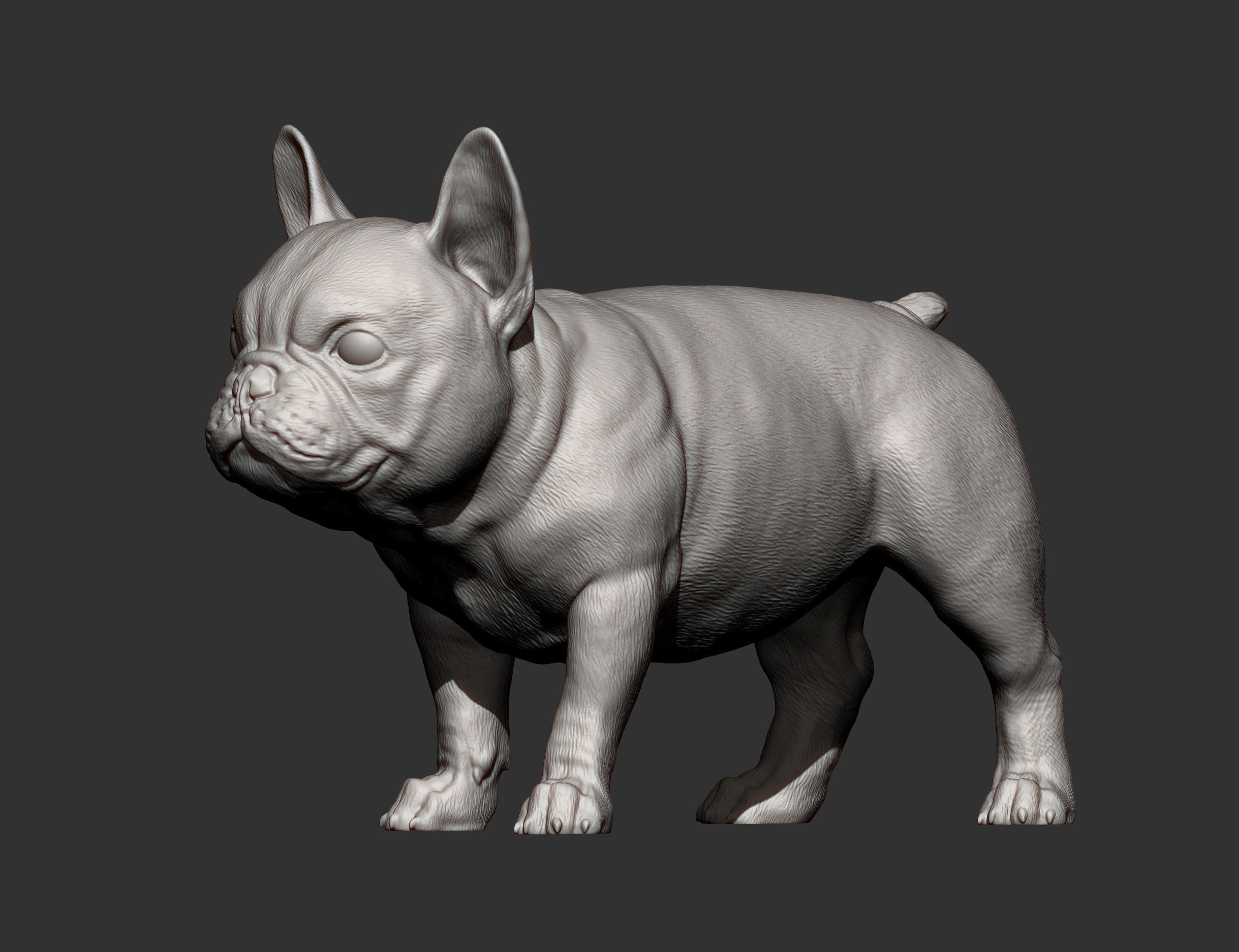french bulldog puppy 3D print model_9