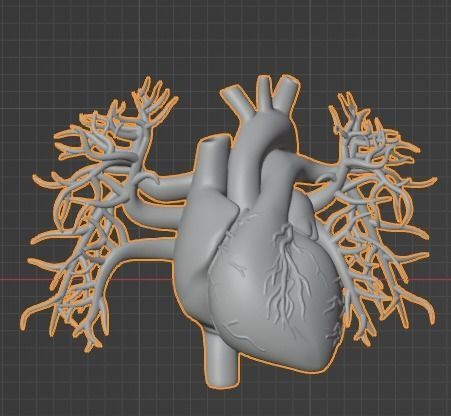 3d model of heart with vessels 3D model_5