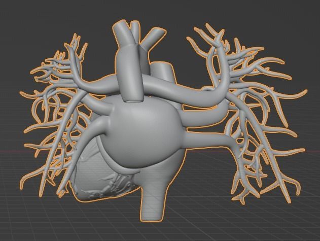 3d model of heart with vessels 3D model_8