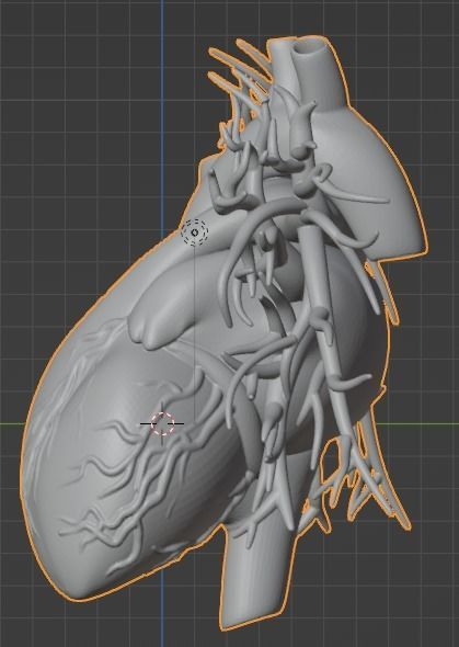 3d model of heart with vessels 3D model_6