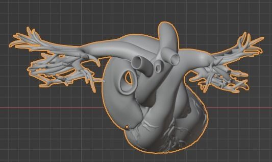 3d model of heart with vessels 3D model_7
