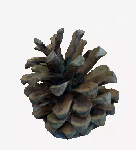 3D Printable pinecone STL model  3D print model_0