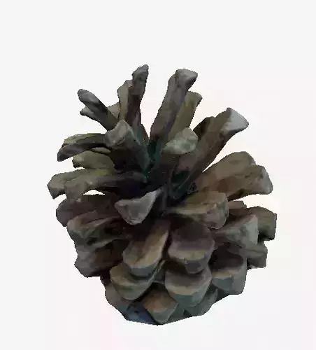 3D Printable pinecone STL model  3D print model