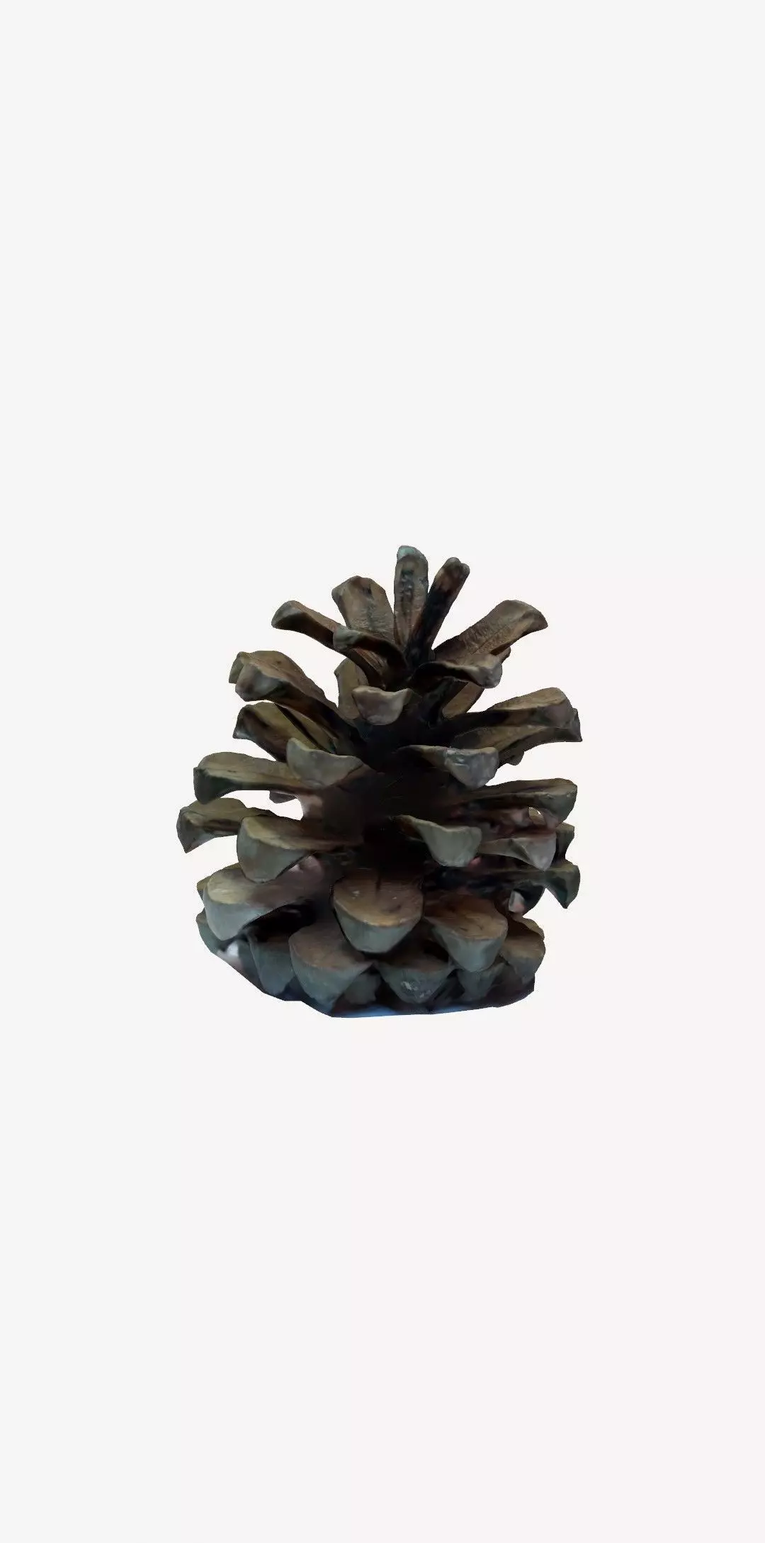 3D Printable pinecone STL model  3D print model_4