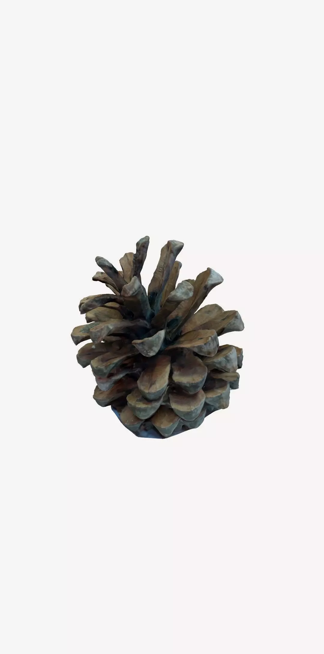 3D Printable pinecone STL model  3D print model_7