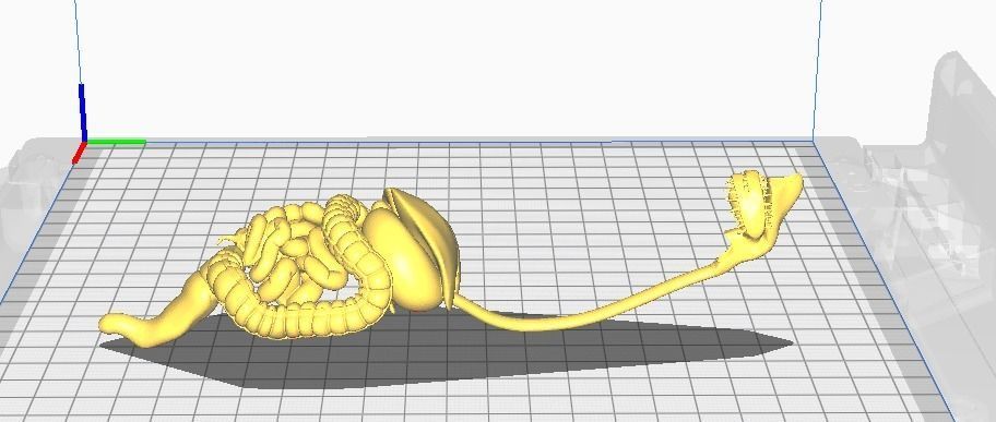 3d model of digestive system 3D print model_12