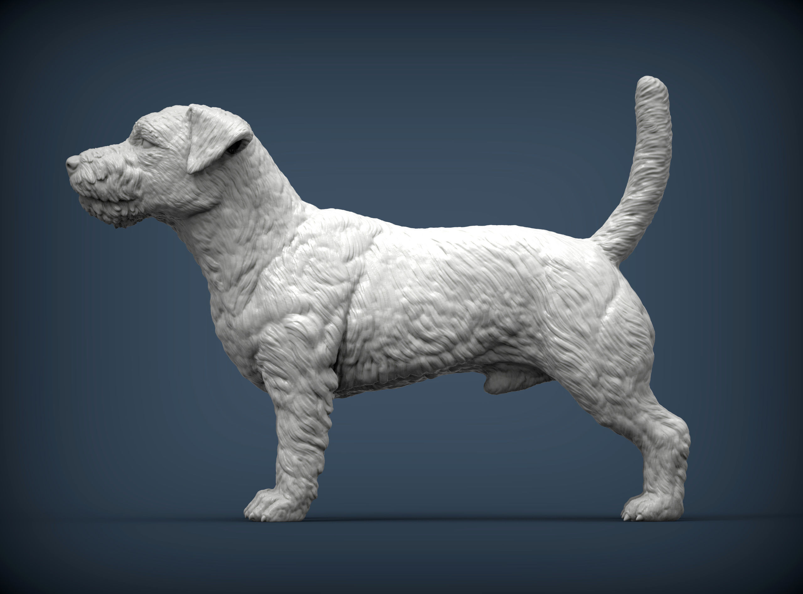 Jack Russell Terrier Longhair 3D print model_5