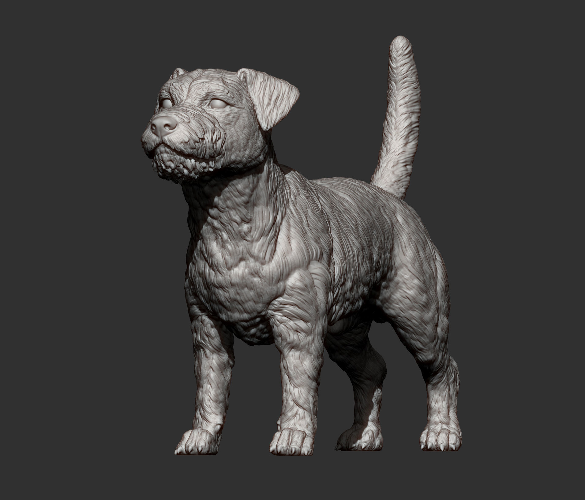 Jack Russell Terrier Longhair 3D print model_7