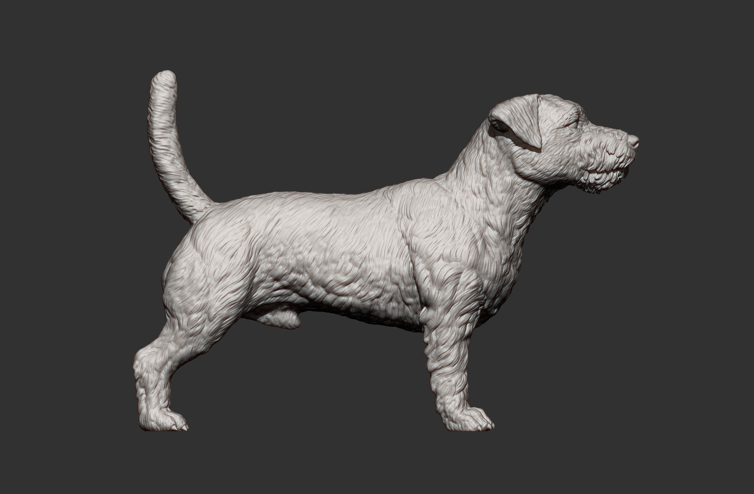 Jack Russell Terrier Longhair 3D print model_11