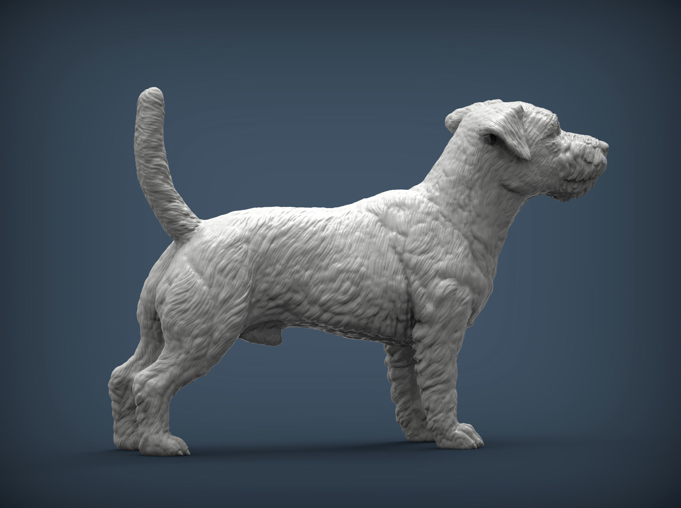 Jack Russell Terrier Longhair 3D print model_6