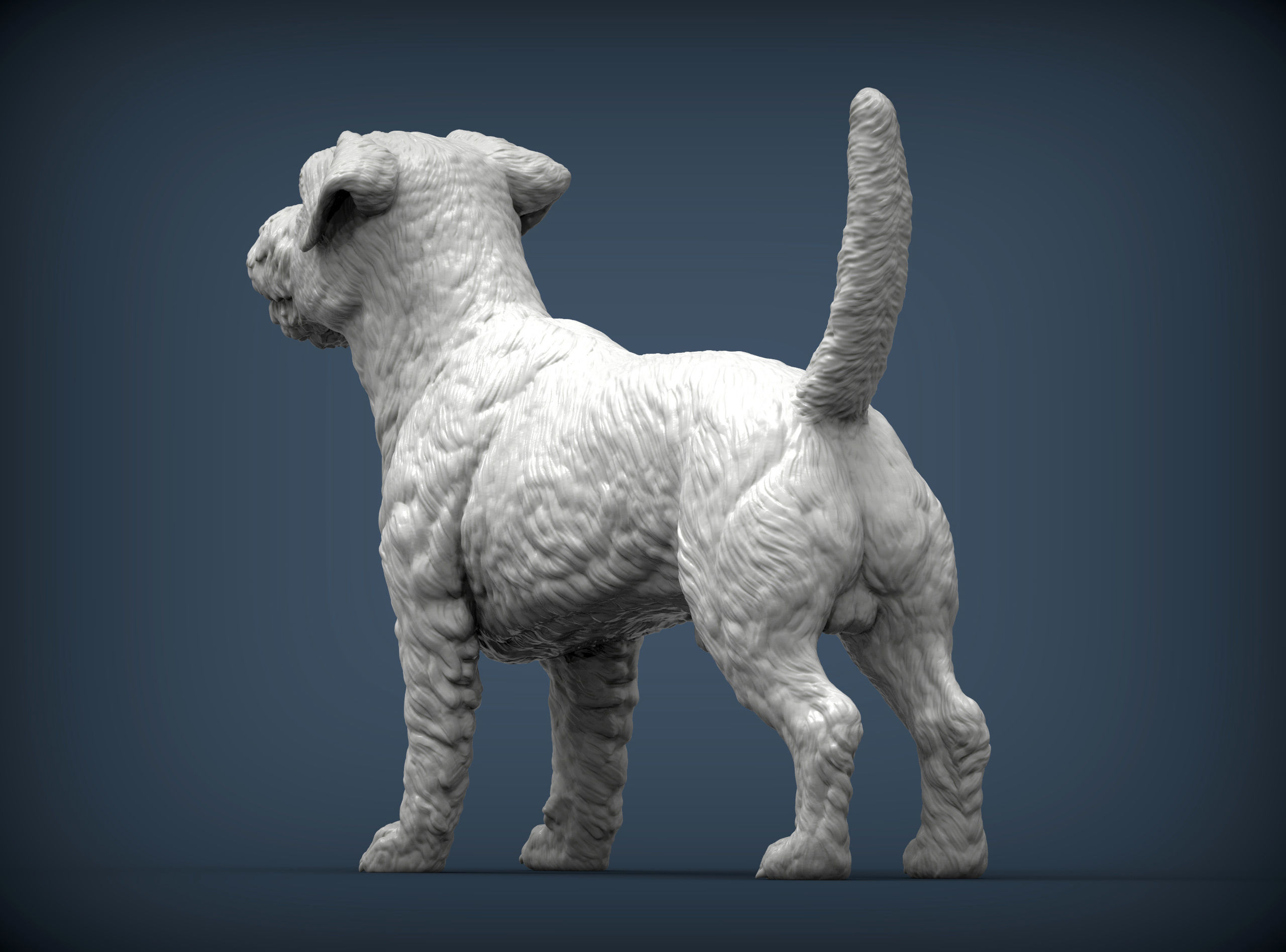 Jack Russell Terrier Longhair 3D print model_4