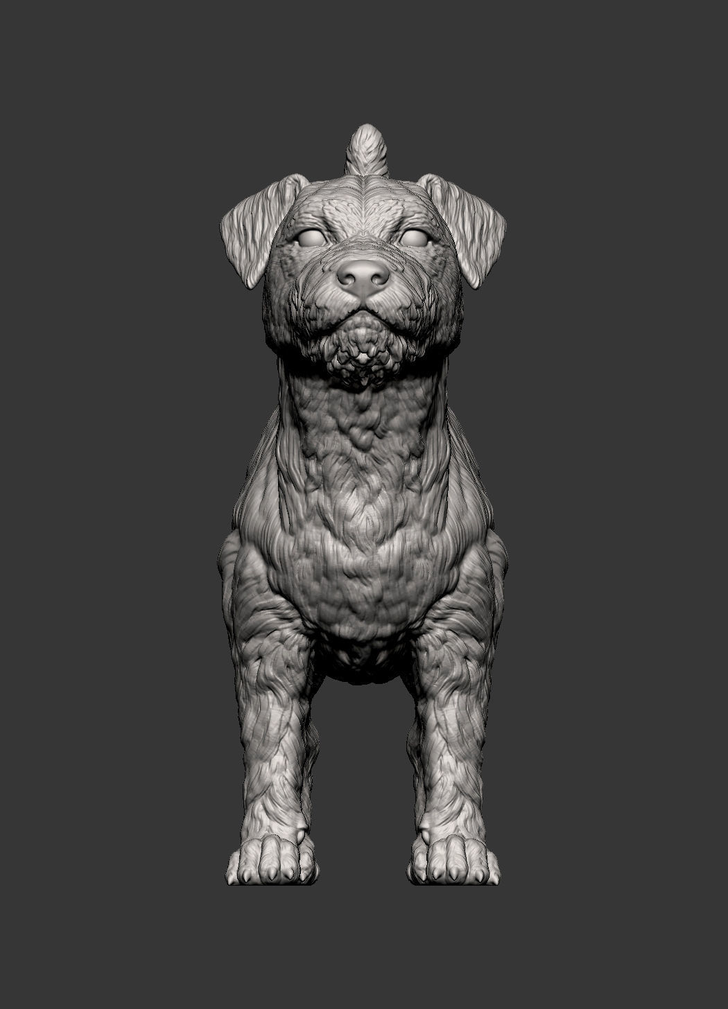 Jack Russell Terrier Longhair 3D print model_8