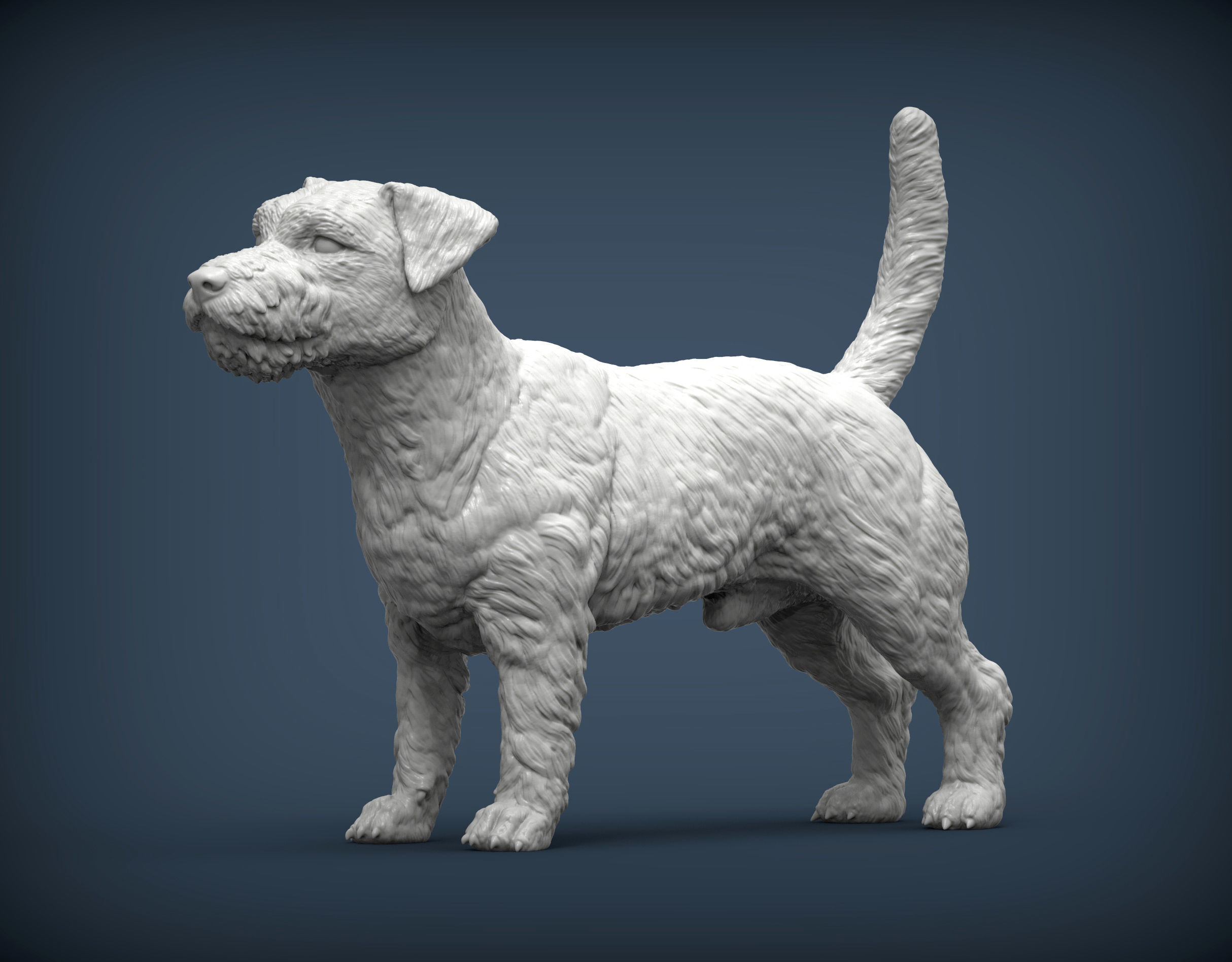 Jack Russell Terrier Longhair 3D print model_2