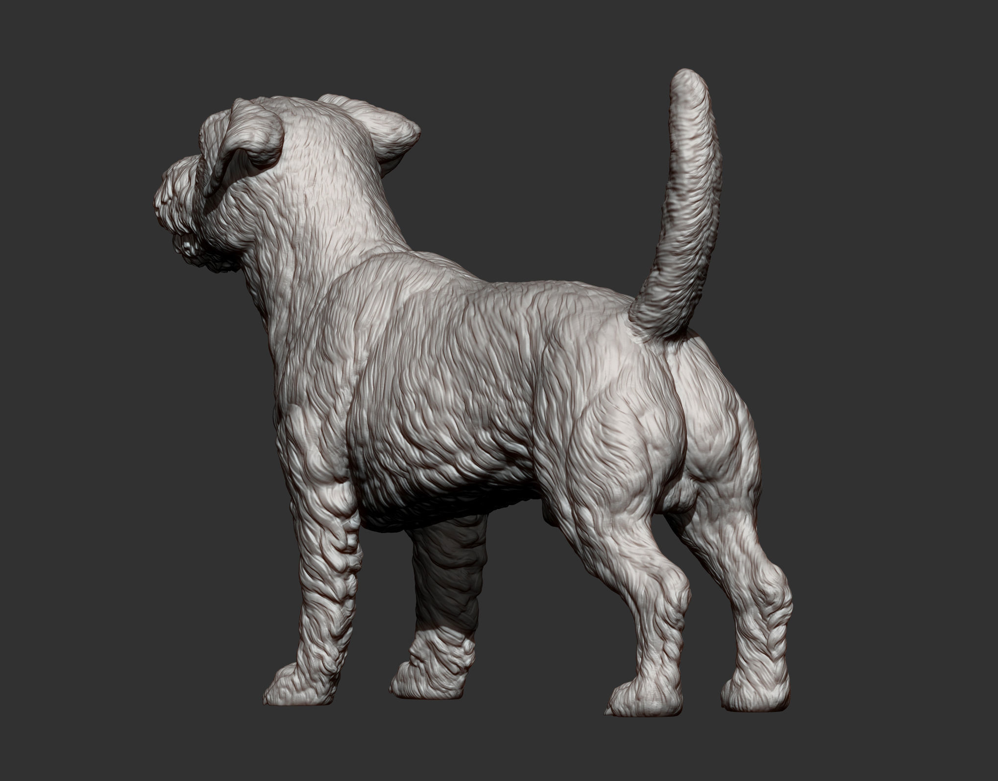 Jack Russell Terrier Longhair 3D print model_12