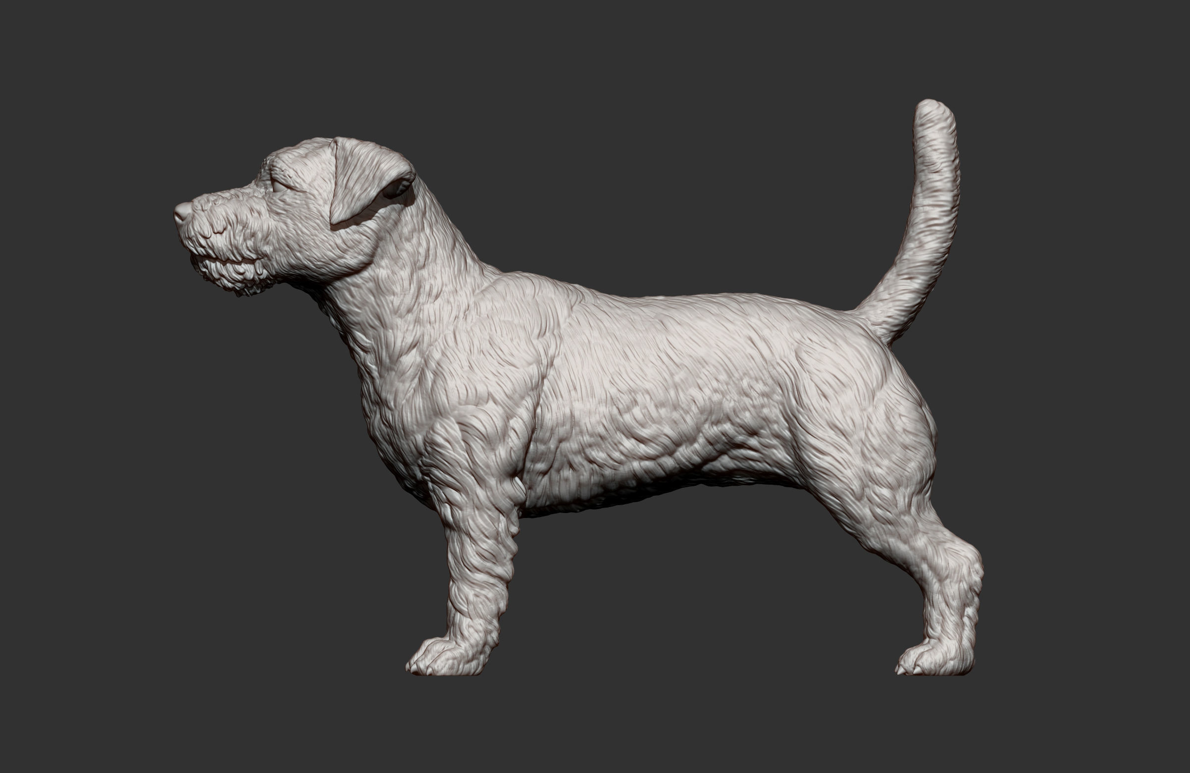 Jack Russell Terrier Longhair 3D print model_9