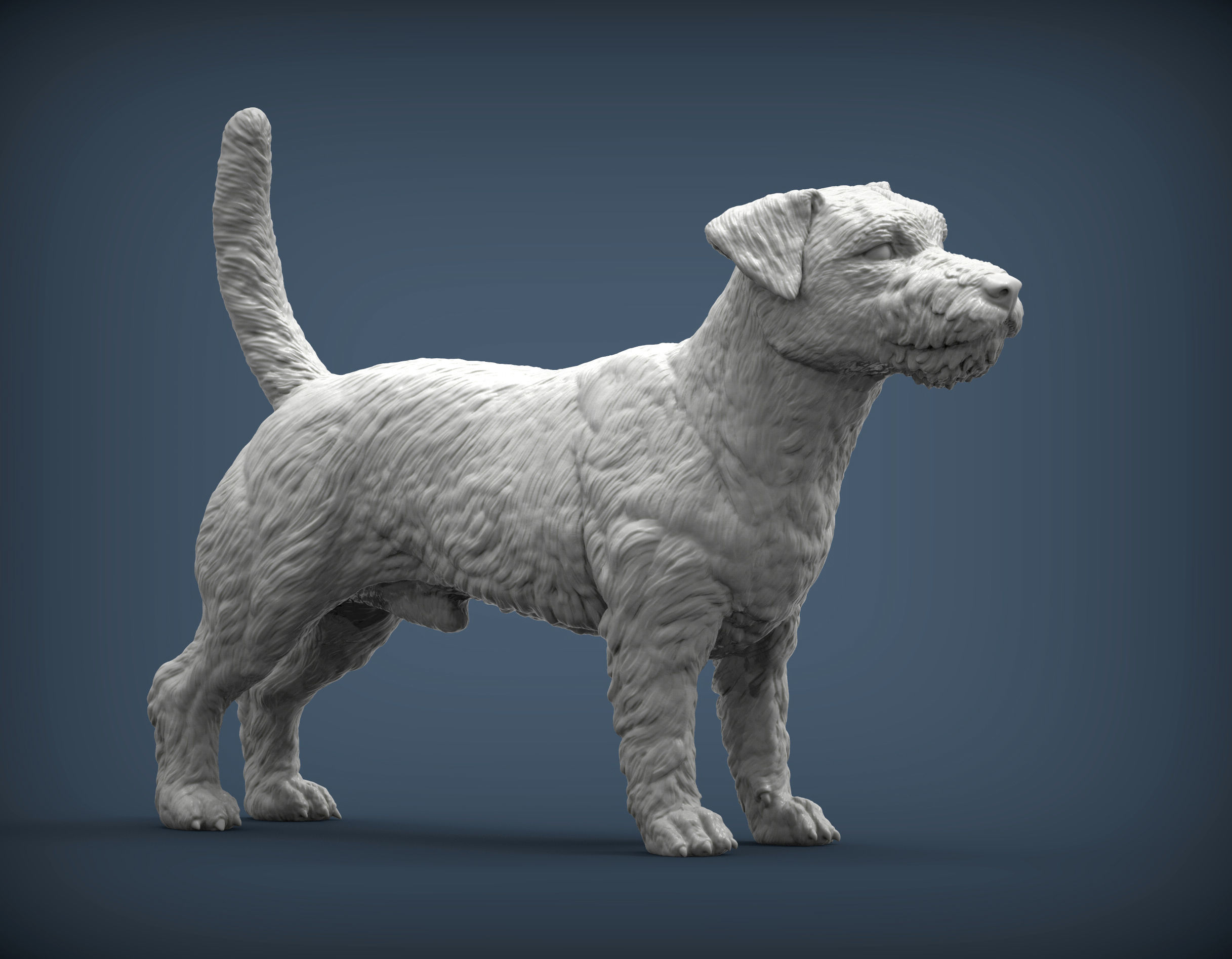 Jack Russell Terrier Longhair 3D print model_3