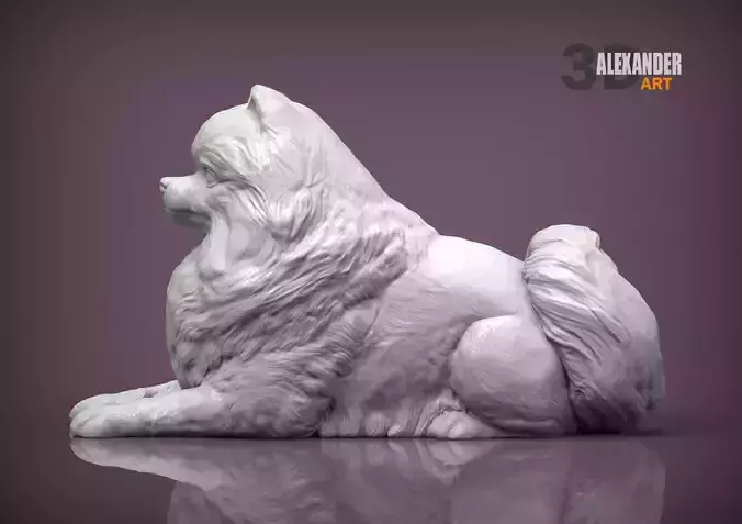 Pomeranian 3D print model 3D print model