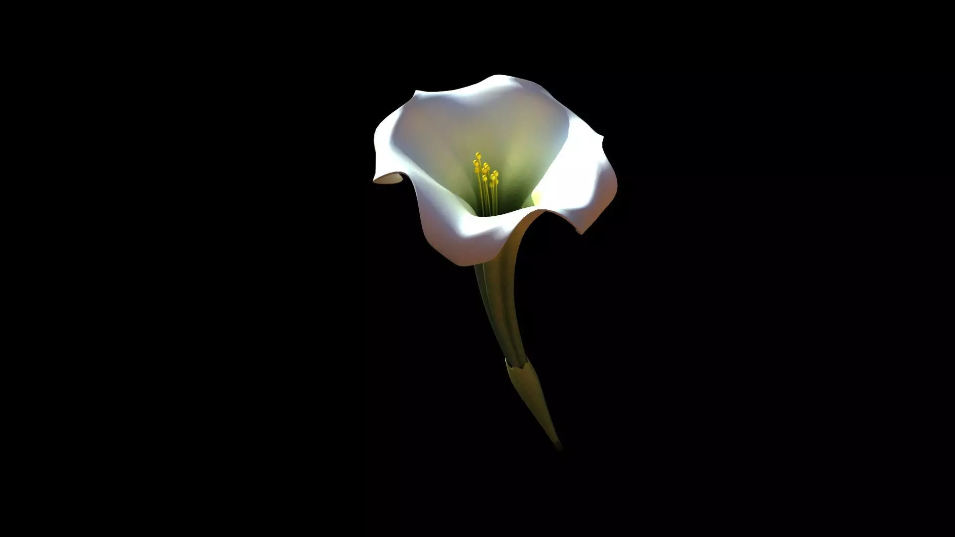 datura flower 3D model_0