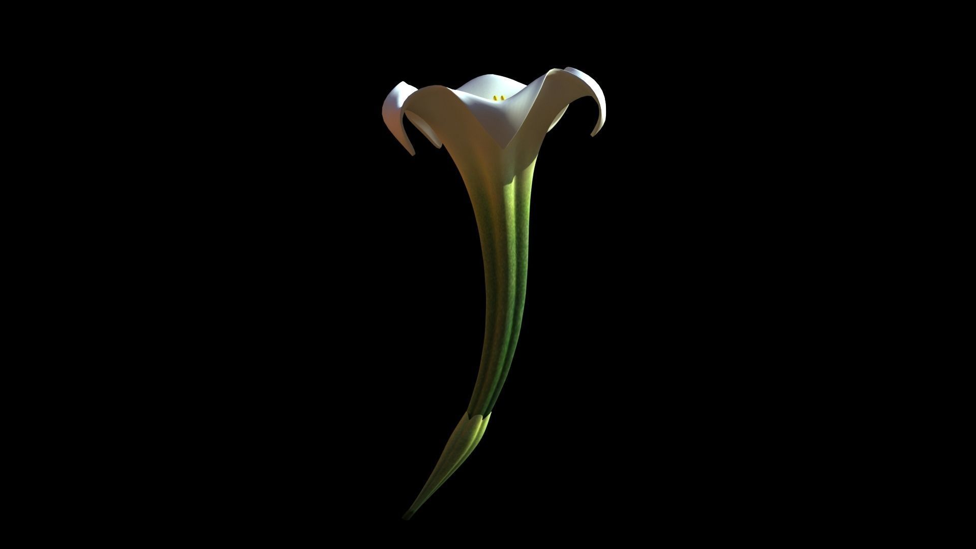 datura flower 3D model_2