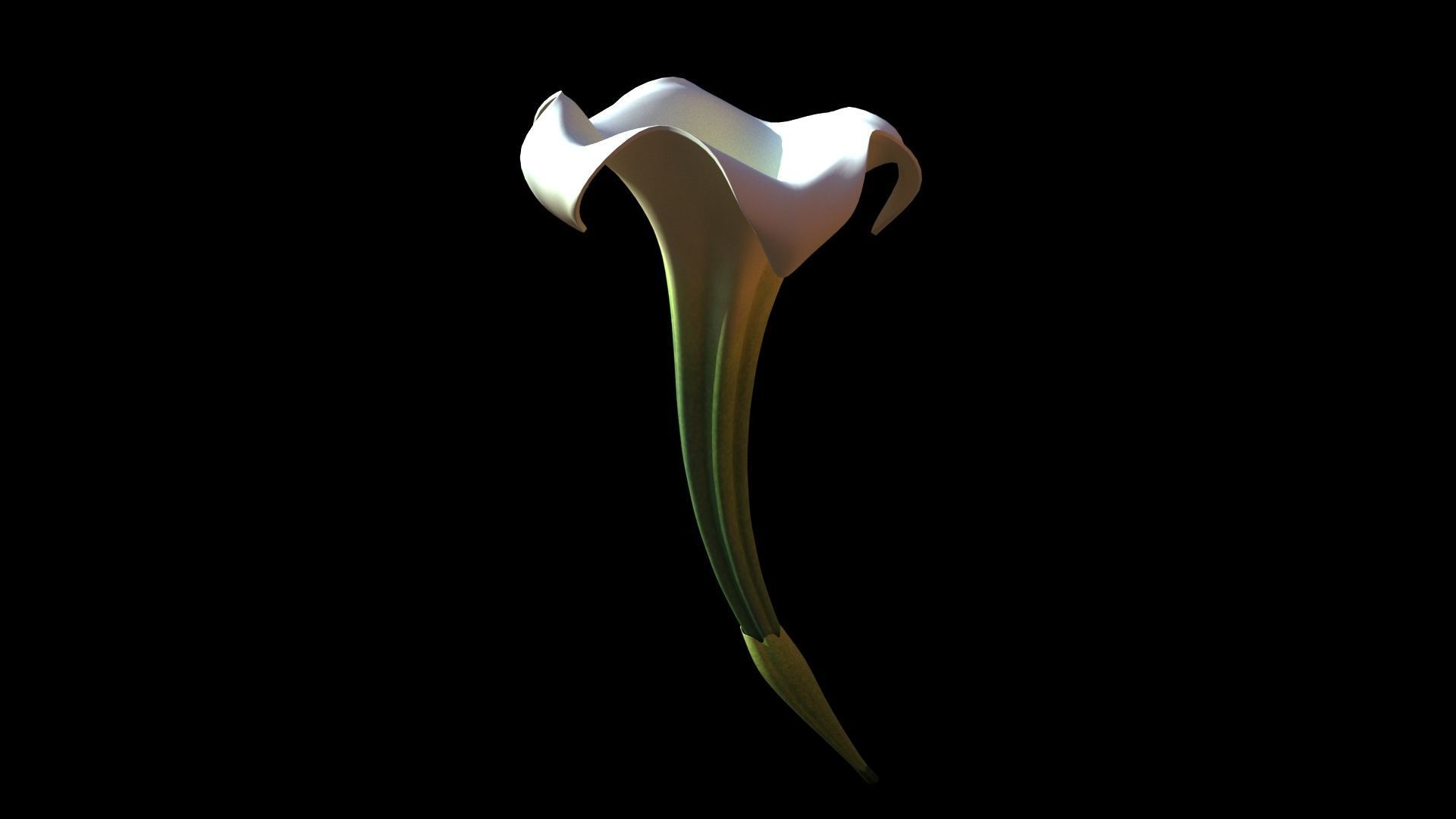 datura flower 3D model_3