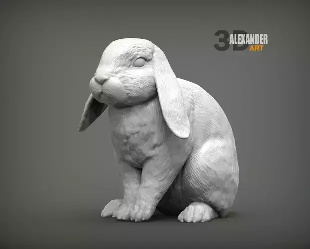 Rabbit ram 3D print model
