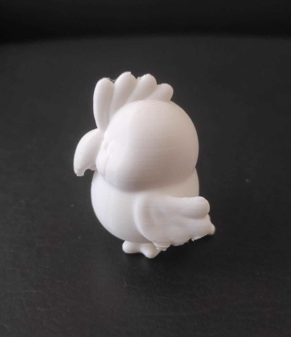 Palm Cockatoo 3D print model_6