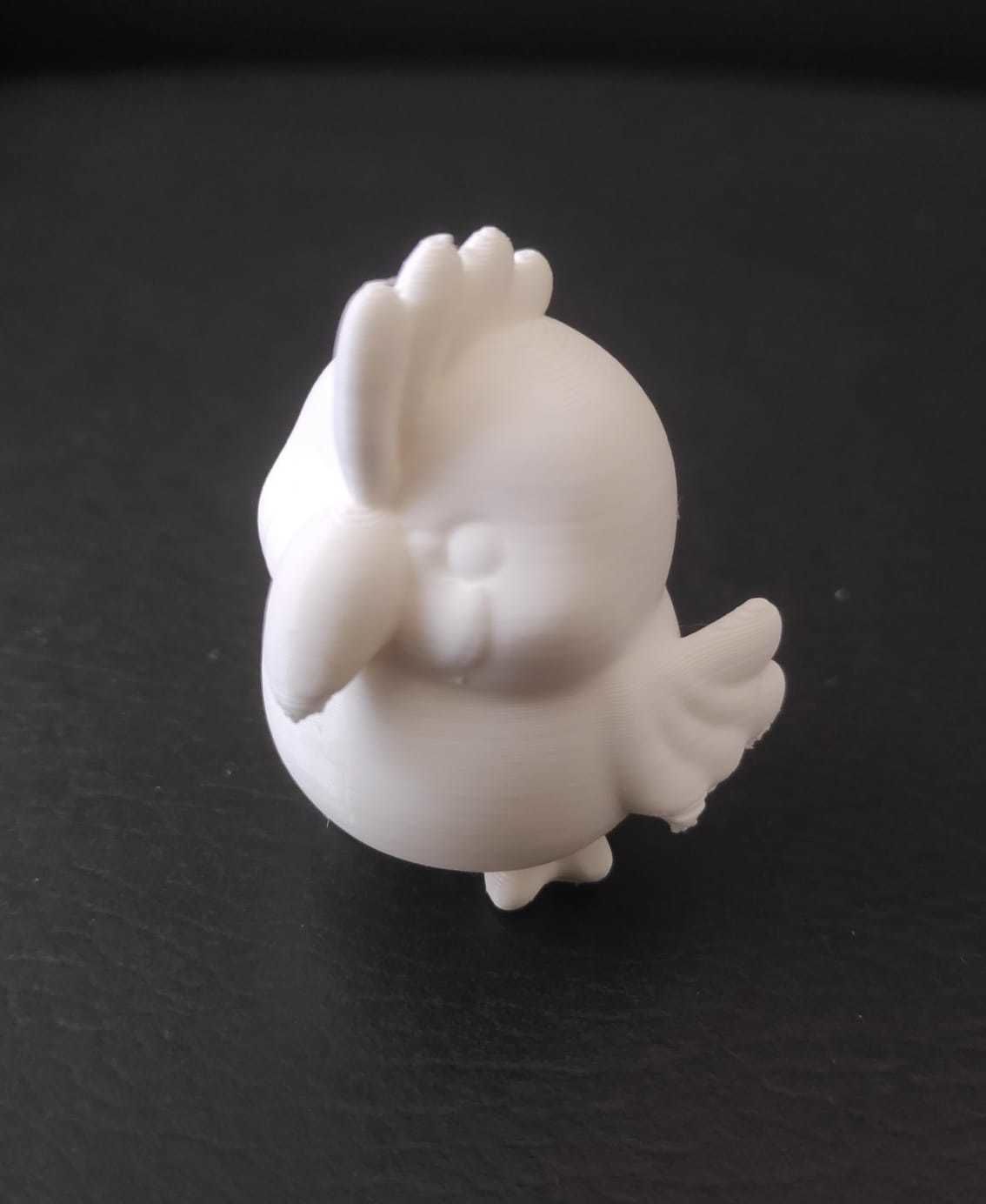 Palm Cockatoo 3D print model_5