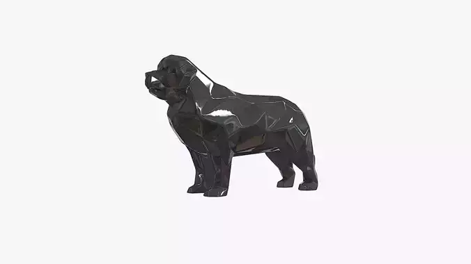 newfoundland terre neuve 