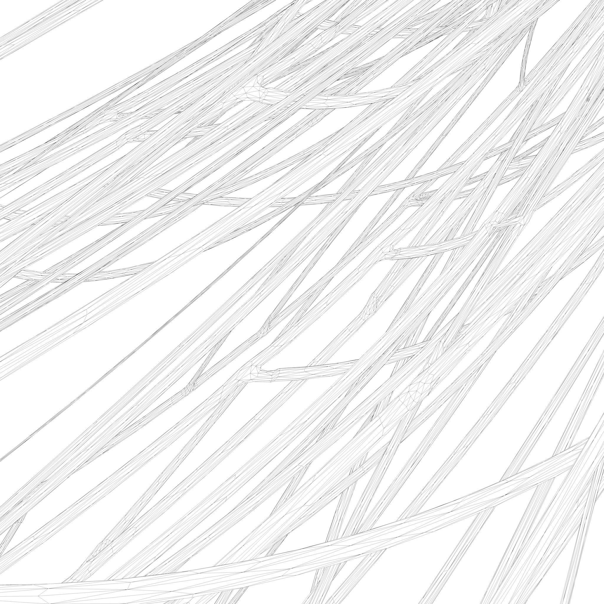 Cable Wire Web 3D model_8