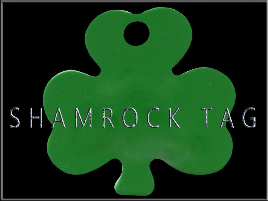 Shamrock Tag Low-poly 3D model_1