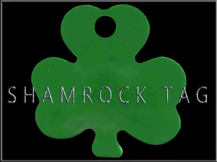 Shamrock Tag Low-poly 3D model_0