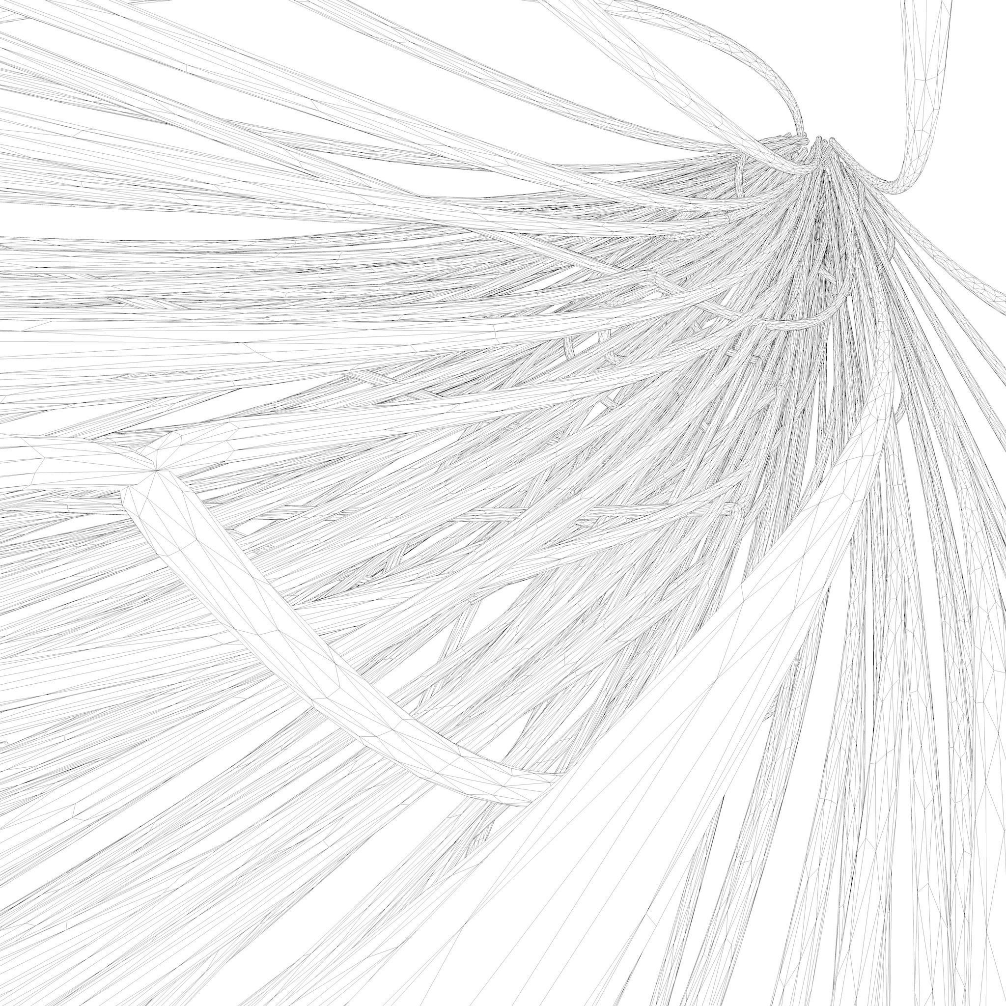 Cable Wire Web 3D model_8