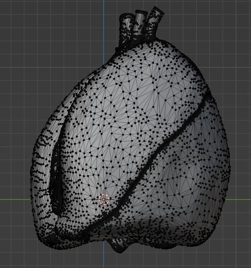 3d model of heart and lungs 3D model_18