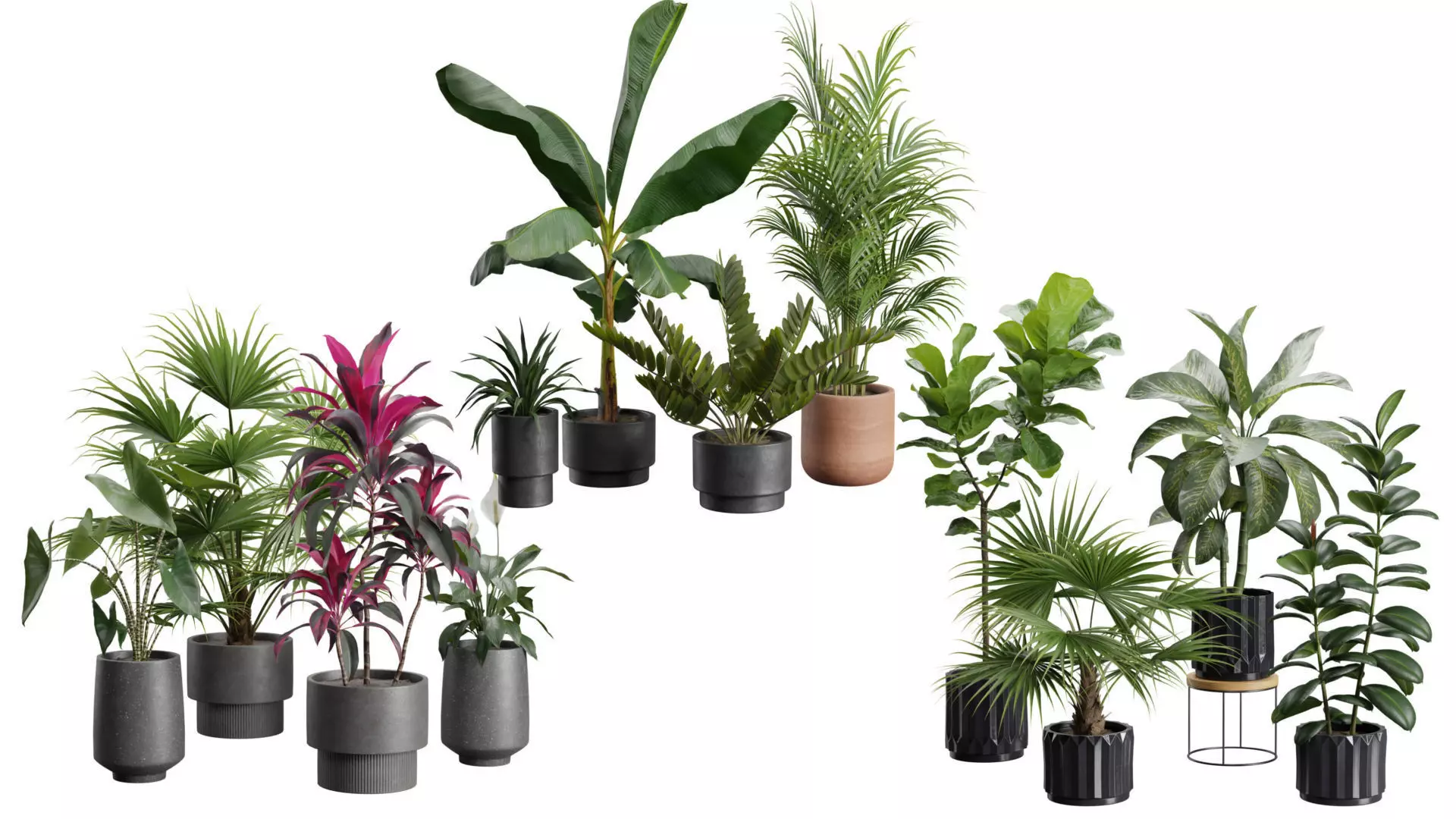 Indoor Plants Collection 04 _0