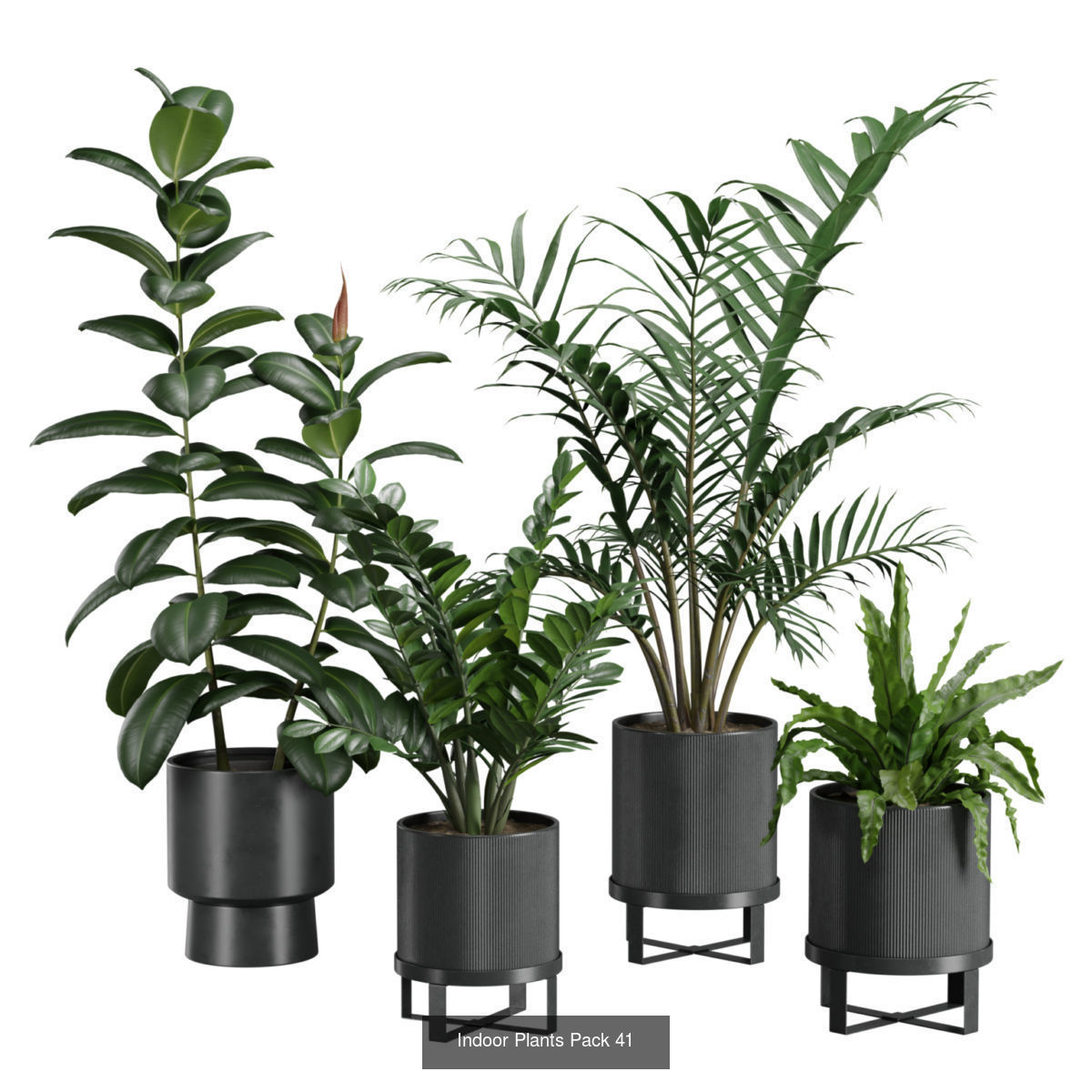 Indoor Plants Collection 05 _3