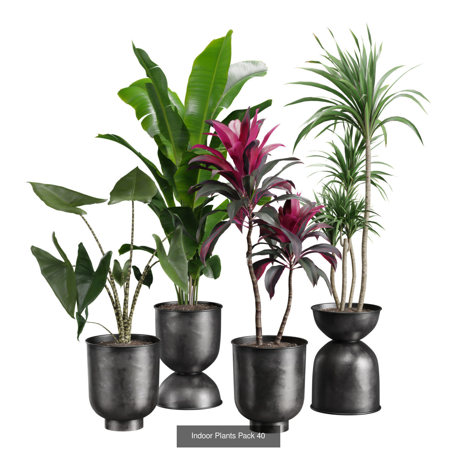 Indoor Plants Collection 05 _2