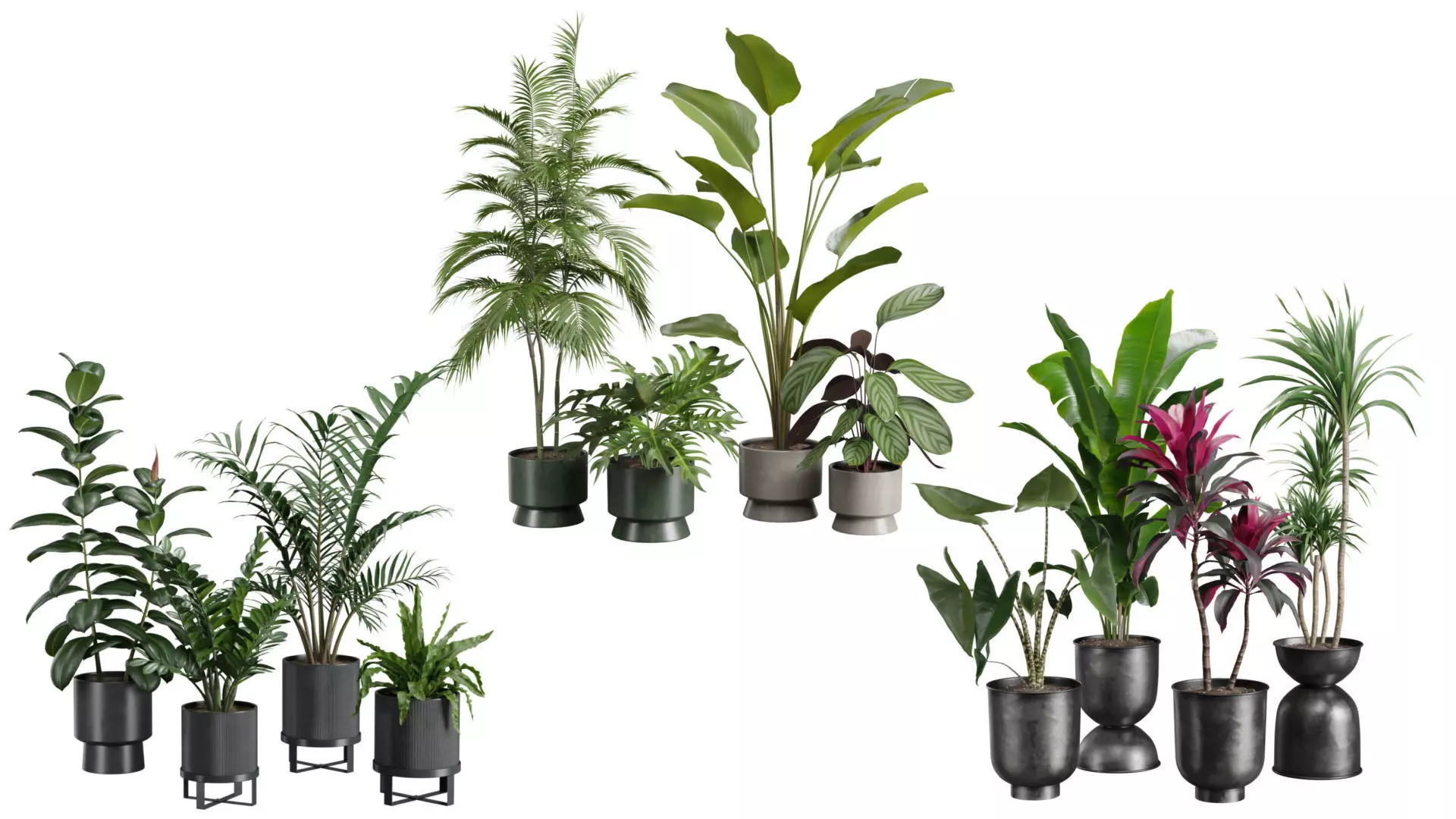 Indoor Plants Collection 05 _0