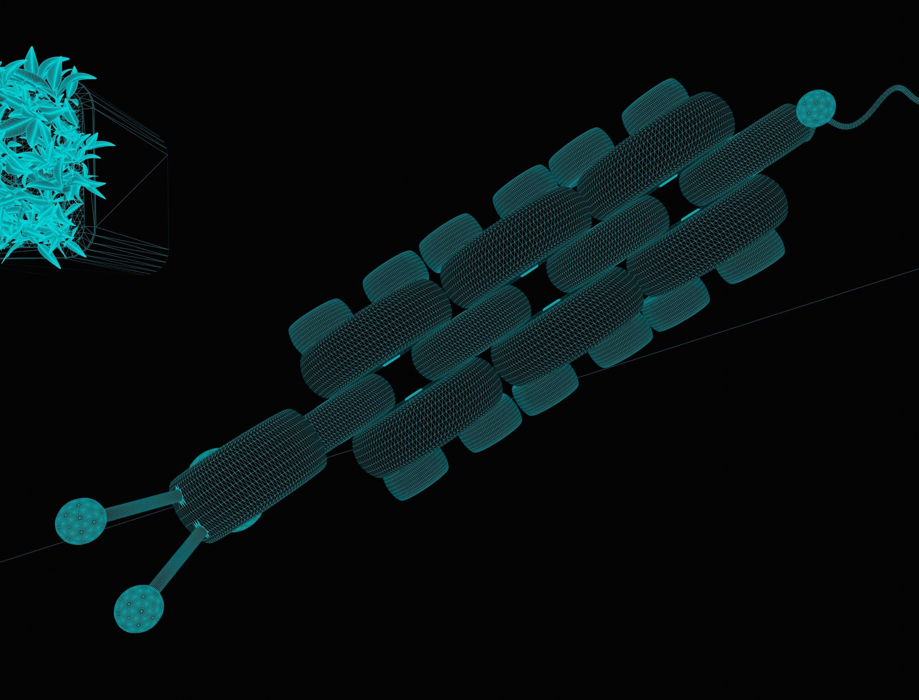 3D Wood Snail Lamph 3D model_9