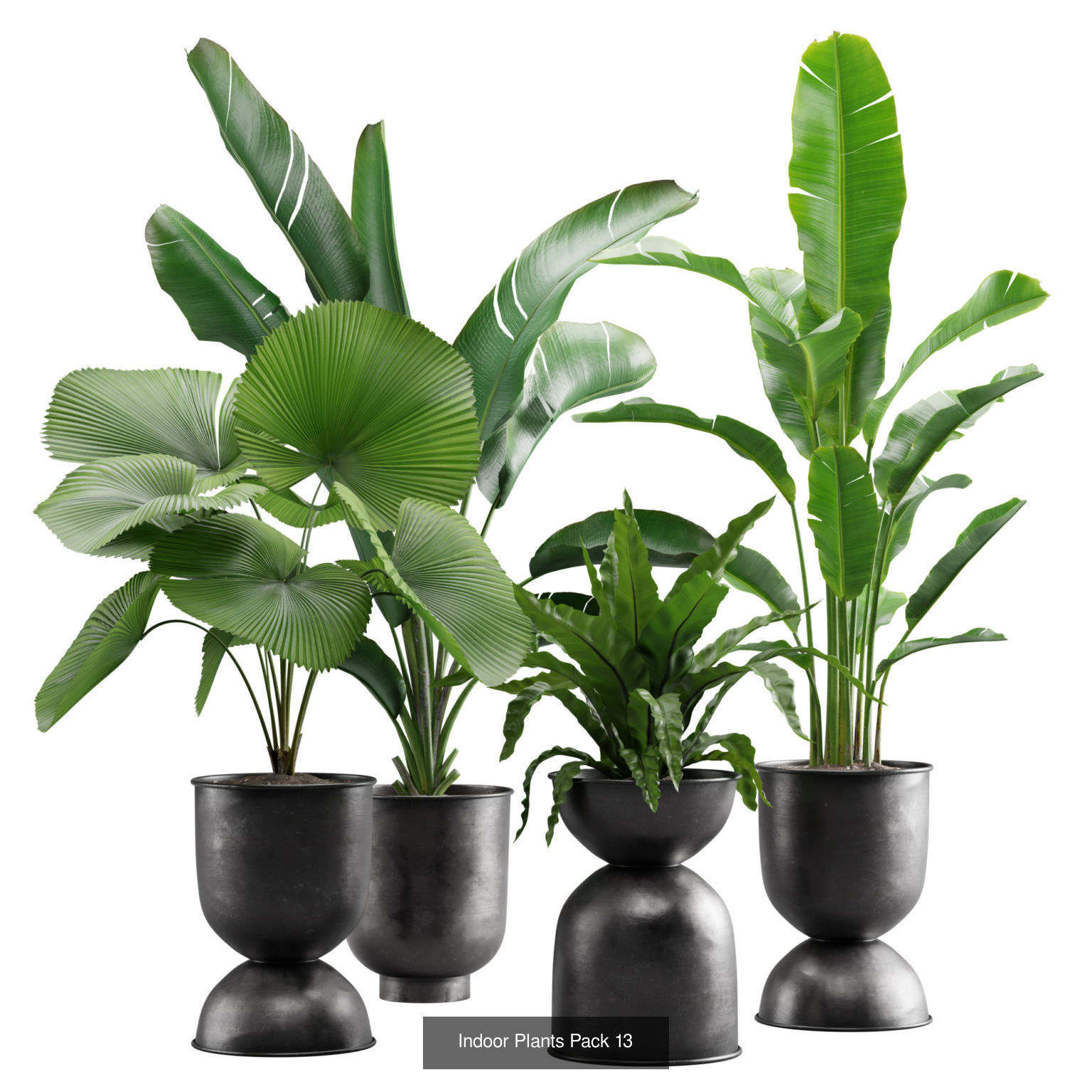 Indoor Plants Collection 03 _2