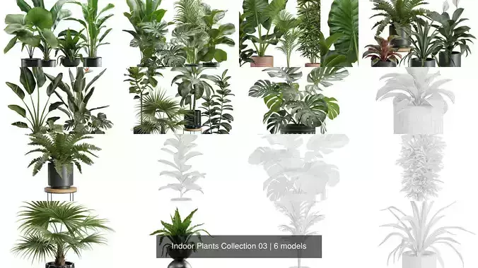 Indoor Plants Collection 03