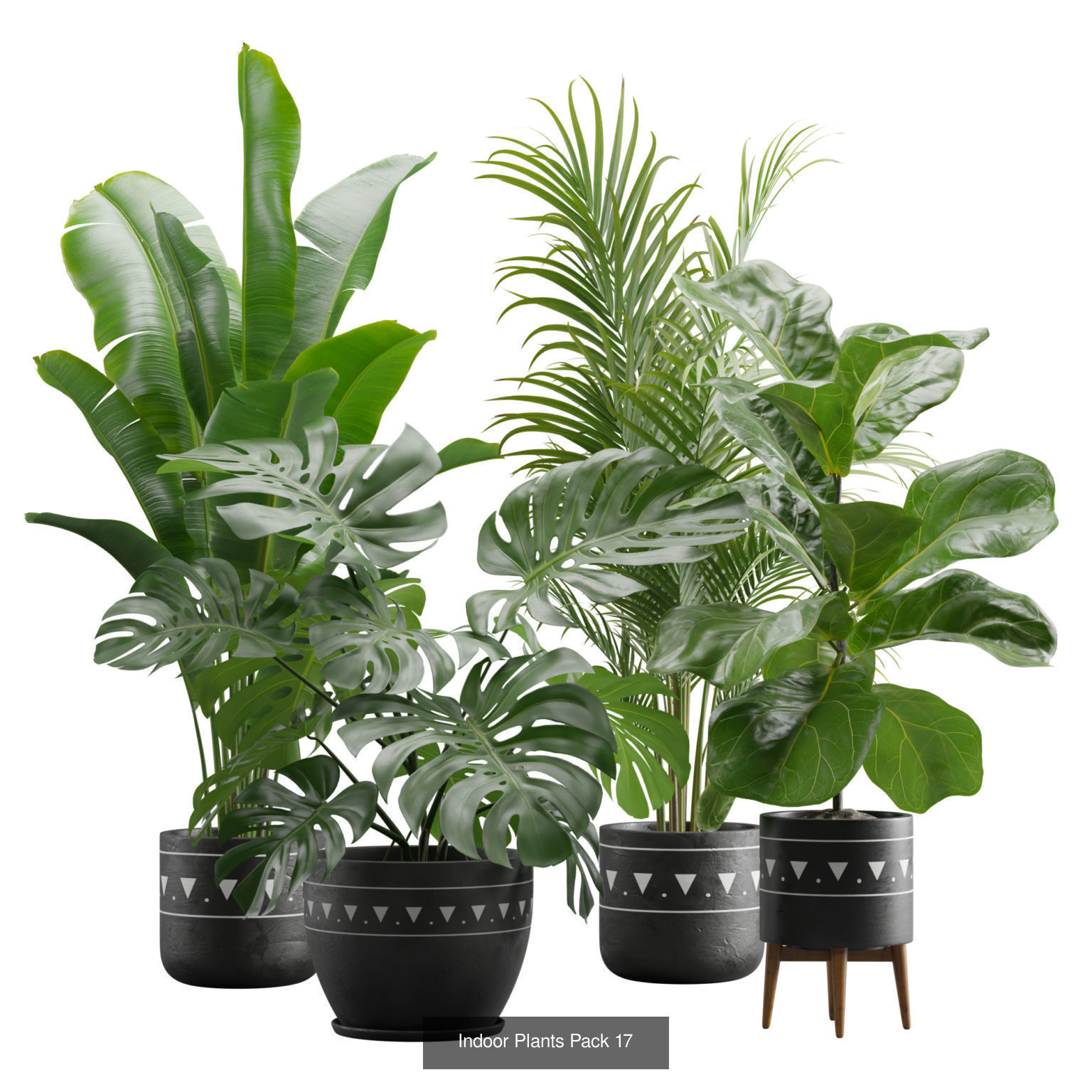 Indoor Plants Collection 03 _3