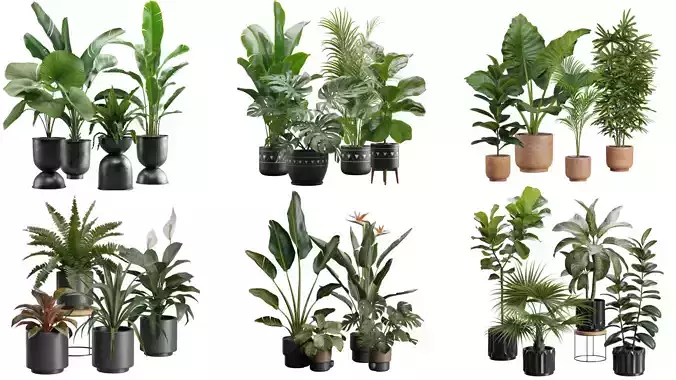 Indoor Plants Collection 03 