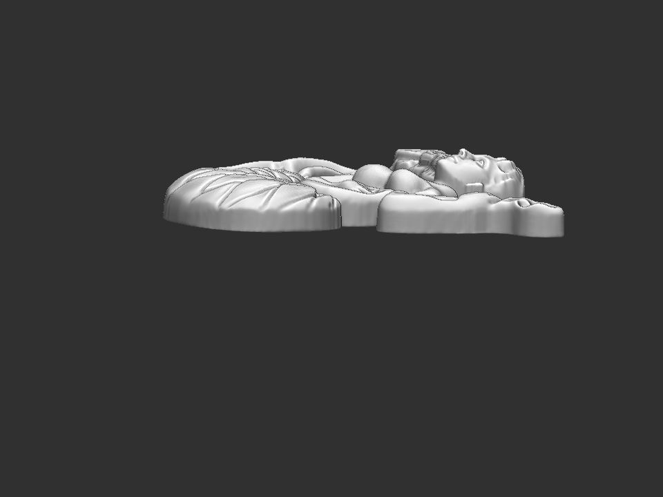 Virgo Relief 3D print model_19