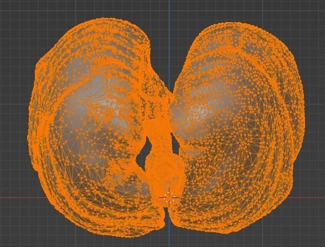 3d model of the lungs airways 3D model_15
