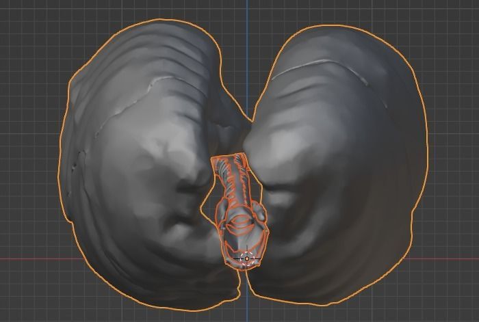 3d model of the lungs airways 3D model_14