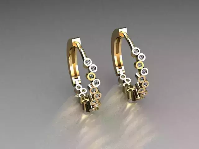 clasp earrings