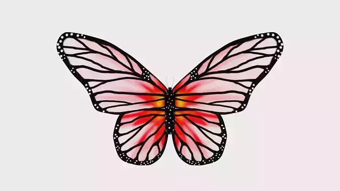 Animated Butterfly