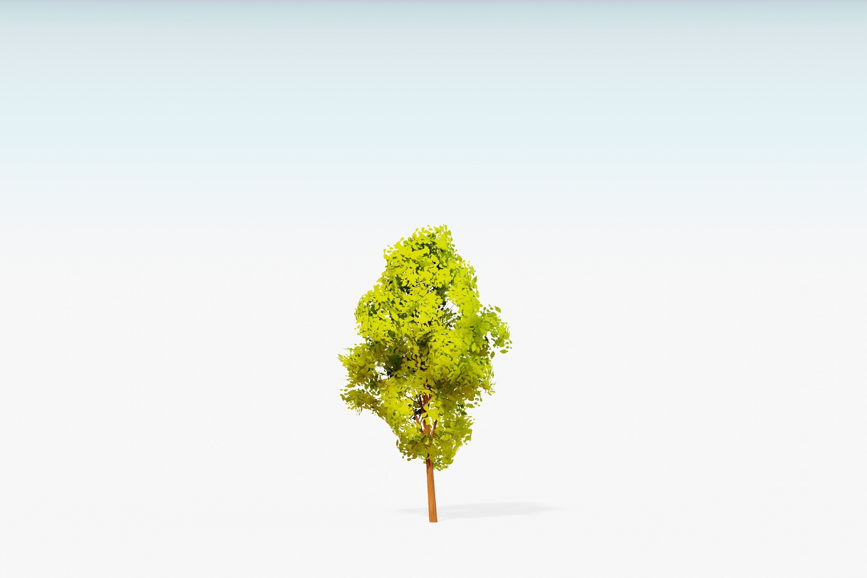 Stylized Trees Pack 55 Trees Low-poly 3D model_45